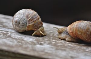 住宅ローンの名義変更は離婚時にどうすれば良いのか？