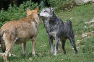 離婚を考えたとき、仕事を優先すべきかどうか？