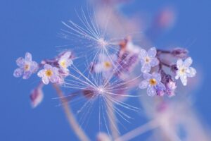養育費を払わない場合の強制執行とは何ですか？