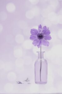 40代の監護権とはなにかを詳しく解説しますか？